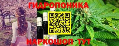кристаллы Лесосибирск
