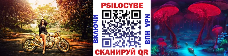 Псилоцибиновые грибы Psilocybine cubensis  Выкса 