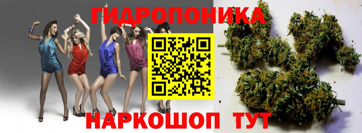 Выкса  Конопля LSD WEED  Вход с VPN  Бошки марихуана сатива  Канабис индика  Конопля SATIVA & INDICA 